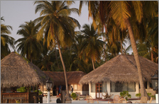 Bangaram Island Resort